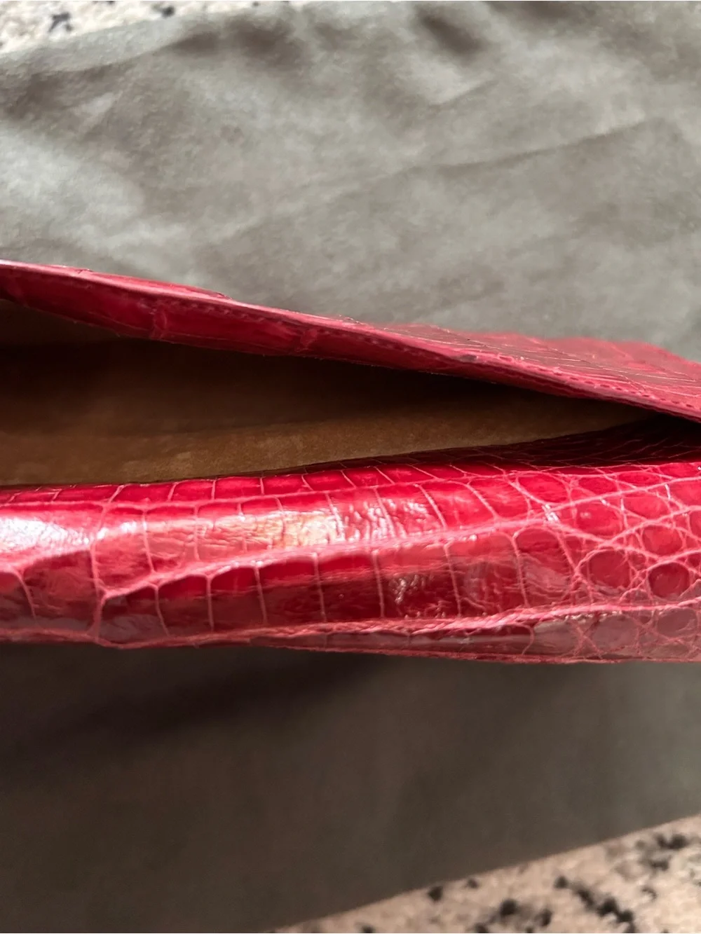 Nancy Gonzalez Crocodile Clutch